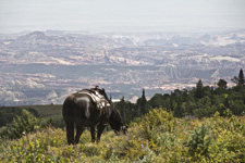 USA-Utah-Utah Backcountry Lodge Ride